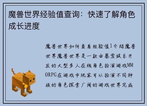 魔兽世界经验值查询：快速了解角色成长进度